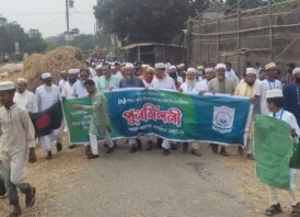 সাঁথিয়ায় বোয়ালমারী কামিল মাদ্রাসার সাবেক শিক্ষার্থীদের পুনর্মিলনী অনুষ্ঠান অনুষ্ঠিত 