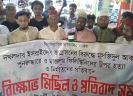 ফিলিস্তিনে গণহত্যার প্রতিবাদে মনোহরগঞ্জে মানববন্ধন ও বিক্ষোভ