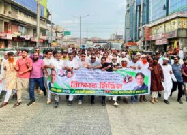 আওয়ামী সন্ত্রাস ও নৈরাজ্যের প্রতিবাদে ডেমরা থানা বিএনপির বিক্ষোভ