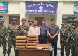 সরিষাবাড়ীতে বিপুল পরিমাণ গাঁজা ও দেশীয় অস্ত্রসহ গ্রেফতার ১