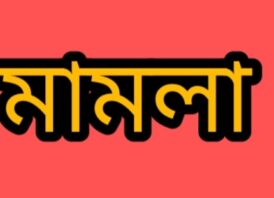 জামালপুরে ভয় দেখিয়ে জোড়া শিশুকে একাধিকবার ধর্ষণের অভিযোগ, থানায় মামলা
