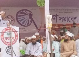 দেশে অনেক শাসন ব্যবস্থা দেখেছি, ইসলামী শাসন ব্যাবস্থা দেখি নাই-চরমোনাই 