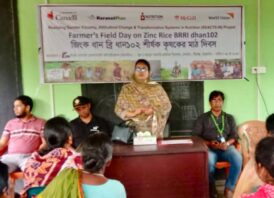 ঠাকুরগাঁওয়ে জিংক ব্রি ধান-১০২ শীর্ষক কৃষক মাঠ দিবস অনুষ্ঠিত