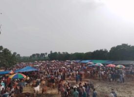 সাপাহার কোরবানীর পশুরহাট ক্রেতা-বিক্রেতার ভিড়ে জমজমাট
