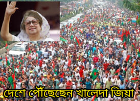 দেশে ফিরেছেন বেগম খালেদা জিয়া