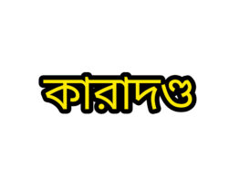 মনোহরগঞ্জে অবৈধভাবে মাটি কাটা ও বিক্রির অপরাধে ২ জনকে কারাদন্ড