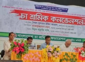 শ্রীমঙ্গলে চা শ্রমিক কনভেনশন ও লাল পতাকা মিছিল