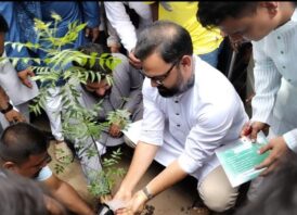 রূপনগরে বিএনপির বৃক্ষরোপণ কর্মসূচি: ২০ হাজার নিমগাছ রোপণের উদ্যোগ ঘোষণা আমিনুল হকের