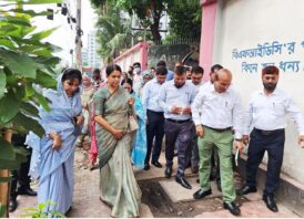 বাশ, বেতসহ কাঠের বিকল্প বহুমুখী পণ্য উৎপাদনে কাজ করছে সরকার — সৈয়দা রিজওয়ানা হাসান