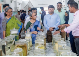 ‌‘কৃষিতে ব্যবহৃত কীটনাশক হাওর এলাকায় মাছের ক্ষতিকর প্রভাব ফেলছে’