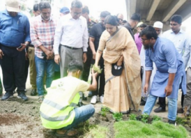 জিরো সয়েল কর্মসূচি বাস্তবায়নে সবার সহযোগিতা জরুরি : পরিবেশ উপদেষ্টা