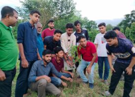 ইবিতে জুলাই বিপ্লবের বর্ষপূর্তিতে বৈছাআ’র দ্বিতীয় দিনের মতো বৃক্ষরোপণ কর্মসূচি