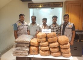 ৪৮ কেজি গাঁজা ও পিকআপসহ তিন মাদক কারবারিকে গ্রেফতার করেছে ডিবি