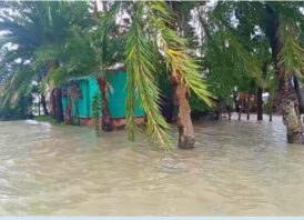 নোয়াখালীর নিম্নাঞ্চল প্লাবিত, ভাঙনের মুখে শতাধিক বাড়িঘর