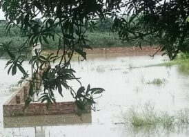 সাপাহারে মাঠের পানি নিষ্কাশন পথ বন্ধ আম বাগানের ব্যাপক ক্ষতির সম্ভাবনা