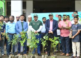 নোবিপ্রবিতে বৃক্ষরোপণ ও গাছের চারা বিতরণ কর্মসূচি অনুষ্ঠিত