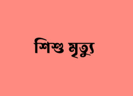 নোয়াখালীতে অটোরিকশা চাপায় দুই শিশু শিক্ষার্থীর মৃত্যু