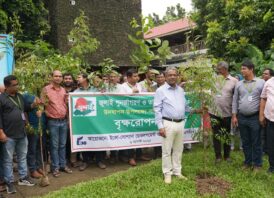 জুলাই পুনর্জাগরণ ও তারুণ্যের উৎসব উদযাপনে ঠাকুরগাঁওয়ে ইএসডিও’র বৃক্ষরোপণ কর্মসূচী পালিত
