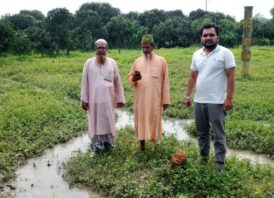 সাপাহারে আমবাগান কেটে জমি দখল চেষ্টার অভিযোগ