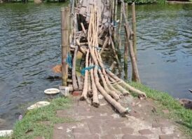 ডুমুরিয়া উপজেলা নির্বাহী অফিসারের দৃষ্টি আকর্ষন “বাঁশের সাঁকোটি মৃত্যু ফাঁদ “