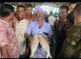 নোয়াখালীতে ২ ইলিশ বিক্রি হলো সাড়ে ১১ হাজার টাকায়