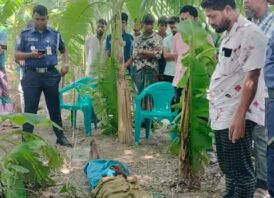 নোয়াখালীতে চালককে হত্যা অটোরিকশা ছিনতাই