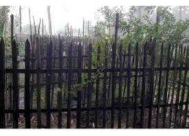 উল্লাপাড়ায় কবরস্থান থেকে ৭টি কঙ্কাল চুরি এলাকাবাসীর মধ্যে তীব্র ক্ষোভ, নিরাপত্তাহীনতায় স্বজনরা