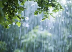দেশের কিছু জায়গায় দমকা হাওয়াসহ মাঝারী ধরনের বৃষ্টি অথবা বজ্রসহ বৃষ্টি হতে পারে