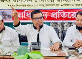 হাসিনার পক্ষে ভারতের যুদ্ধ ঘোষণা : রাশেদ প্রধান