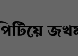 পাইকগাছায় চুরির অভিযোগ করায় মহিলাকে পিটিয়ে রক্তাক্ত জখম