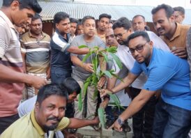 সাপাহারে বিএনপির ৪৭তম প্রতিষ্ঠাবার্ষিকী উপলক্ষে বৃক্ষরোপন কর্মসূচি