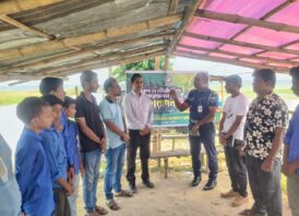 পরিবেশ ও জীববৈচিত্র্য রক্ষায় সাপাহারে জবই বিলপাড়ে বৃক্ষরোপণ