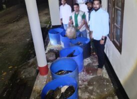 নোয়াখালীতে ৪২৫ কচ্ছপ উদ্ধার