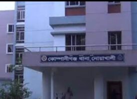 কোম্পানীগঞ্জে পুকুরে ডুবে দুই ভাইয়ের মৃত্যু