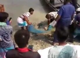 খুলনার পাইকগাছায় আবারো লাশ উদ্ধার, জনমনে আতংক