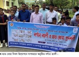 সাপাহারে বিশ্ব হাত ধোয়া দিবস উদযাপন