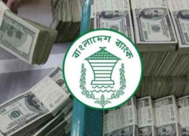 ১১ দিনেই রেমিট্যান্স এলো ১২ হাজার ২৪ কোটি টাকা