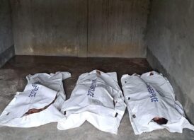 গোবিন্দগঞ্জে গরু চুরি করতে গিয়ে জনতার হতে আটক গণপিটুনিতে ৩ চোরের মৃত্যু