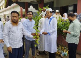 পরিবেশে দুর্বারের ছোঁয়া: চিতলমারী দাখিল মাদ্রাসায় ফল-ফুলের চারা উপহার