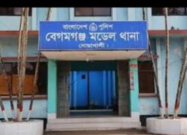 নোয়াখালীতে বাঁশের সাঁকো থেকে খালে পড়ে শিশুর মৃত্যু