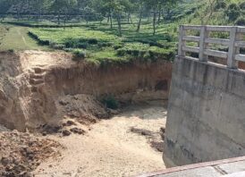 সেতু নয়, এখন মরণফাঁদ! দুই বছর ধরে দুর্ভোগে সুরমা চা বাগানবাসী