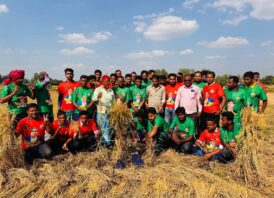শিবগঞ্জে তারেক রহমানের জন্মদিনে অসহায় কৃষকের ধান কাটছেন ধানের শীষের কর্মীরা