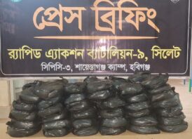 মাধবপুরে র‍্যাব-৯ এর অভিযানে গাঁজাসহ মাদক ব্যবসায়ী গ্রেফতার