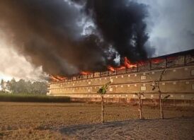 গোবিন্দগঞ্জে আস্তা পোল্ট্রি ভয়াবহ অগ্নিকান্ড