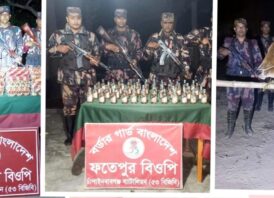 সীমান্তে ৫৩ বিজিবির পৃথক পৃথক অভিযানে ভারতীয় মদ, শাড়ী, চাদর ও ২টি গরু জব্দ