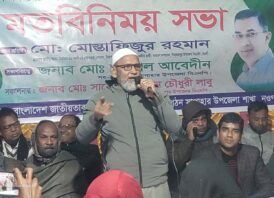 তারেক রহমানের স্বদেশ প্রত্যাবর্তন উপলক্ষে সাপাহারে মতবিনিময় সভা ও আনন্দ মিছিল