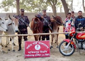 চাঁপাইনবাবগঞ্জ মহানন্দা ব্যাটালিয়ন ৫৩ বিজিবির অভিযানে মোটরসাইকেল ও মোবাইলসহ আটক ২