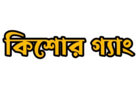 সিলেটে কিশোর গ্যাংয়ের দাপট, আতঙ্কে সাধারণ মানুষ—প্রশাসনের হস্তক্ষেপ চায় এলাকাবাসী