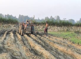 মনোহরগঞ্জে ফসলি জমির মাটি বিক্রির হিড়িক, যাচ্ছে অবৈধ ইটভাটায়