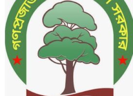 দেশের ইতিহাসে প্রথমবারের মতো জারি হলো ‘বন ও বৃক্ষ সংরক্ষণ অধ্যাদেশ, ২০২৬‘